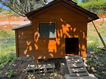 cabane à poules