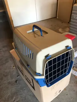 caisse de transport chat