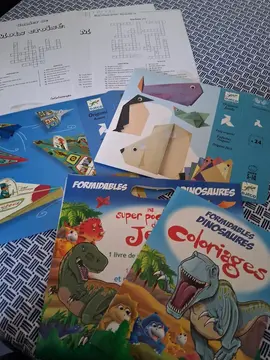 lot d activités coloriages, mots croisés et pliages