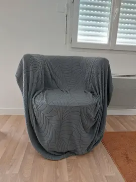 fauteuil