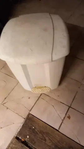 poubelle à roulettes