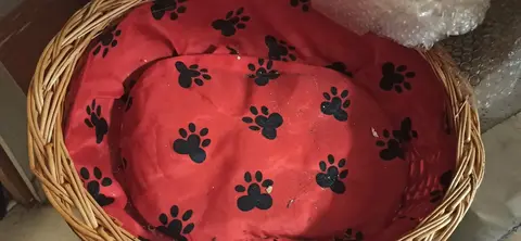 Panier couffin pour chat et demi paquet de litière catsan