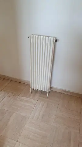 petit radiateur fonte pour chauffage gaz