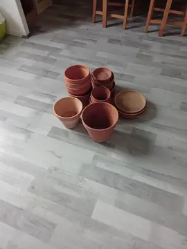 à donner pots de fleurs avec coupelles