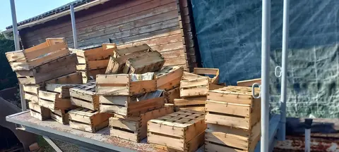 cagettes en bois