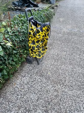 caddie poussette de marché