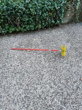 canne de ramonage, hérisson