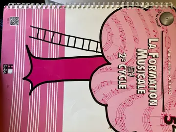 La formation musicale en 2ème cycle MH Siciliano