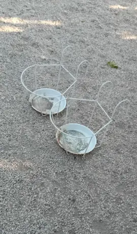 2 pots suspensions
