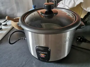 auto cuiseur de riz