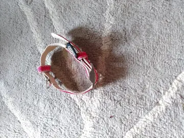 collier pour chat