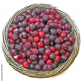 PRUNES LEGEREMENT ACIDULE .