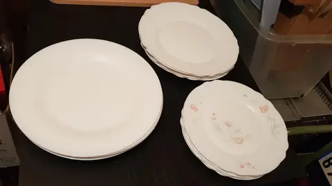 16 assiettes plates