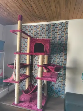 Arbre à Chat