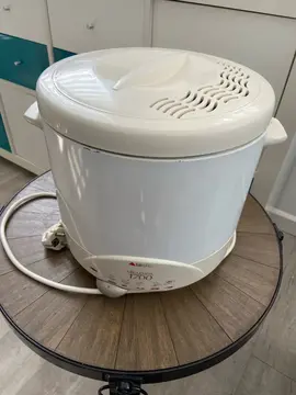 friteuse grande capacité