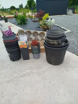 Donne pots pour plantation