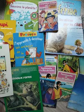 lot de livres