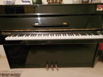 Piano Droit Calisia