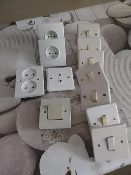 prise électrique