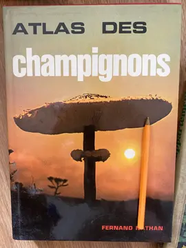 atlas des champions