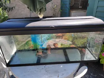 aquarium 120 ltres