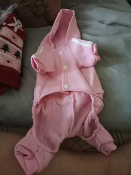adidog