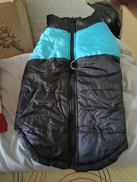 blouson chien