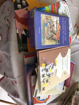 lot livres pour enfants