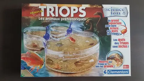 Bocal et matériel pour Triops