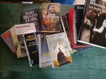 lot de romans 2