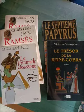 lot de romans 3