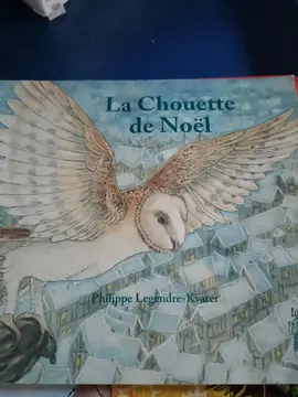 ma chouette de Noël
