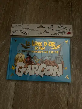 livre enterrement de vie de garçon