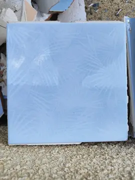 Une quarantaine de carreaux de faïence murale (20X20cm)