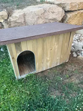niche grand chien