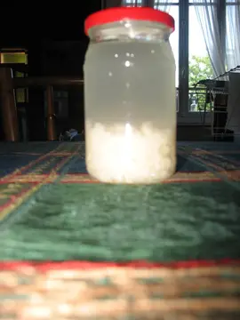 Bocal de grains frais ou secs de kéfir de fruits