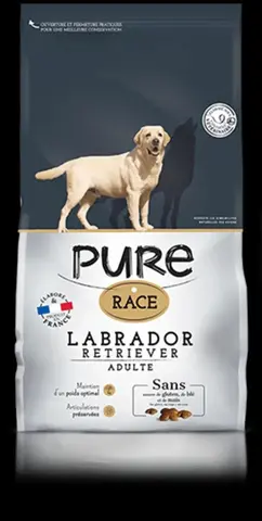 croquettes pour chien