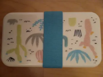 Boîte à bento