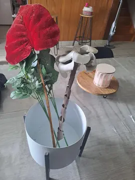 Vase fleur