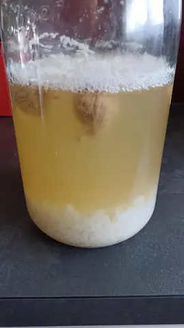 kéfir de fruits