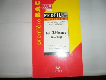 Livre analyse Les châtiments