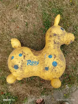 jeu pour petit, âne gonflable