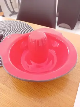 plat pour poulet à rotir