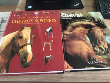 livres chevaux