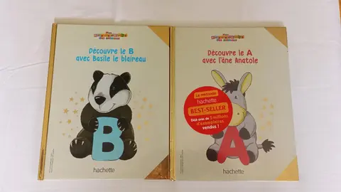 livre enfant lot 2