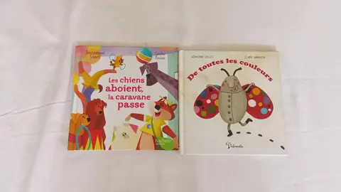 livre enfant lot 5
