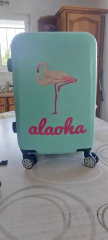 valise