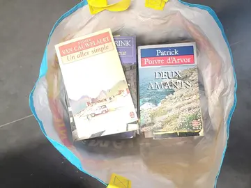 Lot d'une trentaine de livres