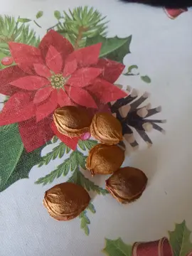 lot de 4 noyau de abricot