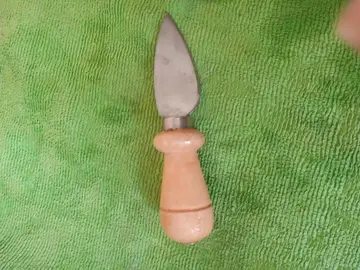Petit couteau pour parmesan